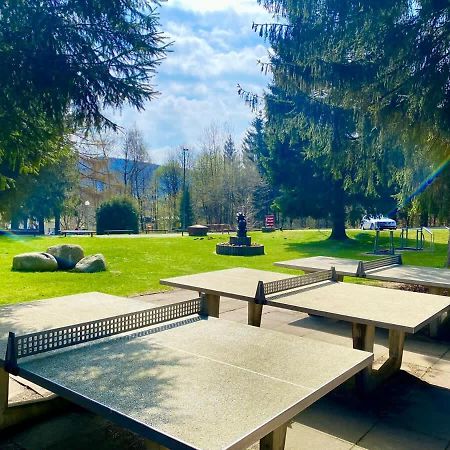 Relaxapartments Abendsonne Im Herzen Des Harzes - Ein El Dorado Fuer Wanderer, Biker Und Ruhesuchende - Mit Sonnigem Balkon Und Platz Fuer Bis Zu 3 Personen Goslar Exteriér fotografie