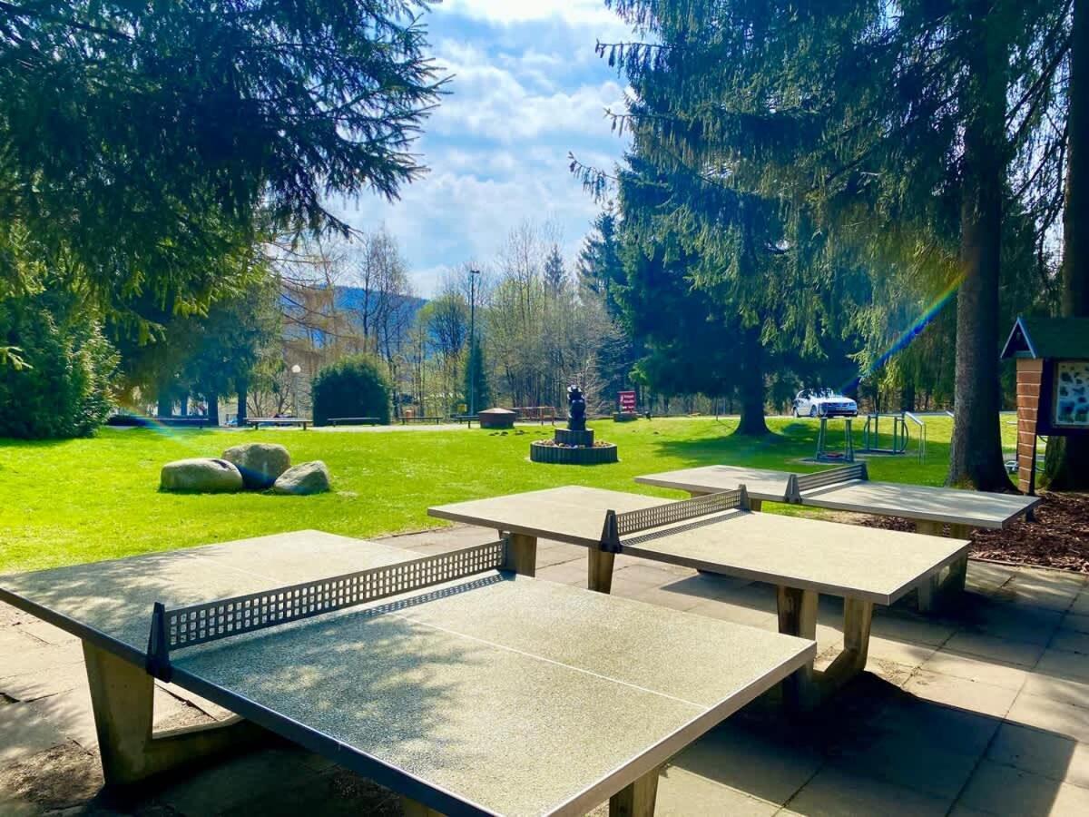 Relaxapartments Abendsonne Im Herzen Des Harzes - Ein El Dorado Fuer Wanderer, Biker Und Ruhesuchende - Mit Sonnigem Balkon Und Platz Fuer Bis Zu 3 Personen Goslar Exteriér fotografie