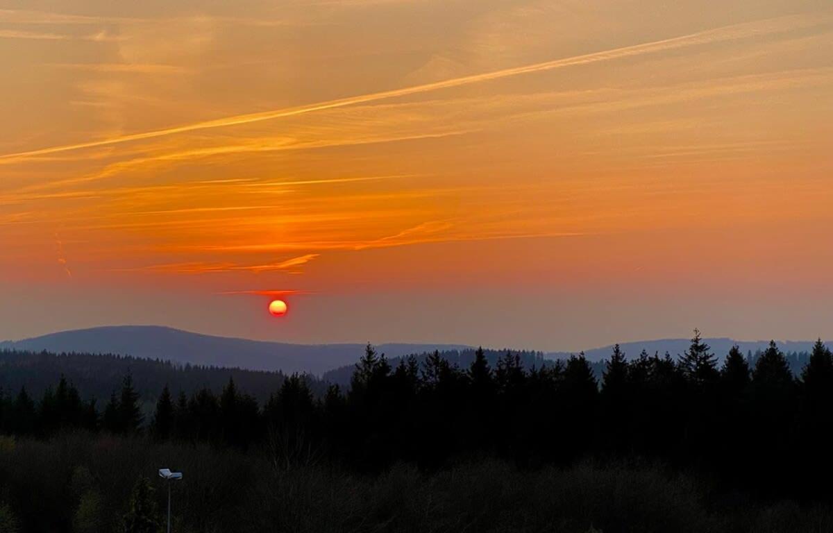 Relaxapartments Abendsonne Im Herzen Des Harzes - Ein El Dorado Fuer Wanderer, Biker Und Ruhesuchende - Mit Sonnigem Balkon Und Platz Fuer Bis Zu 3 Personen Goslar Exteriér fotografie
